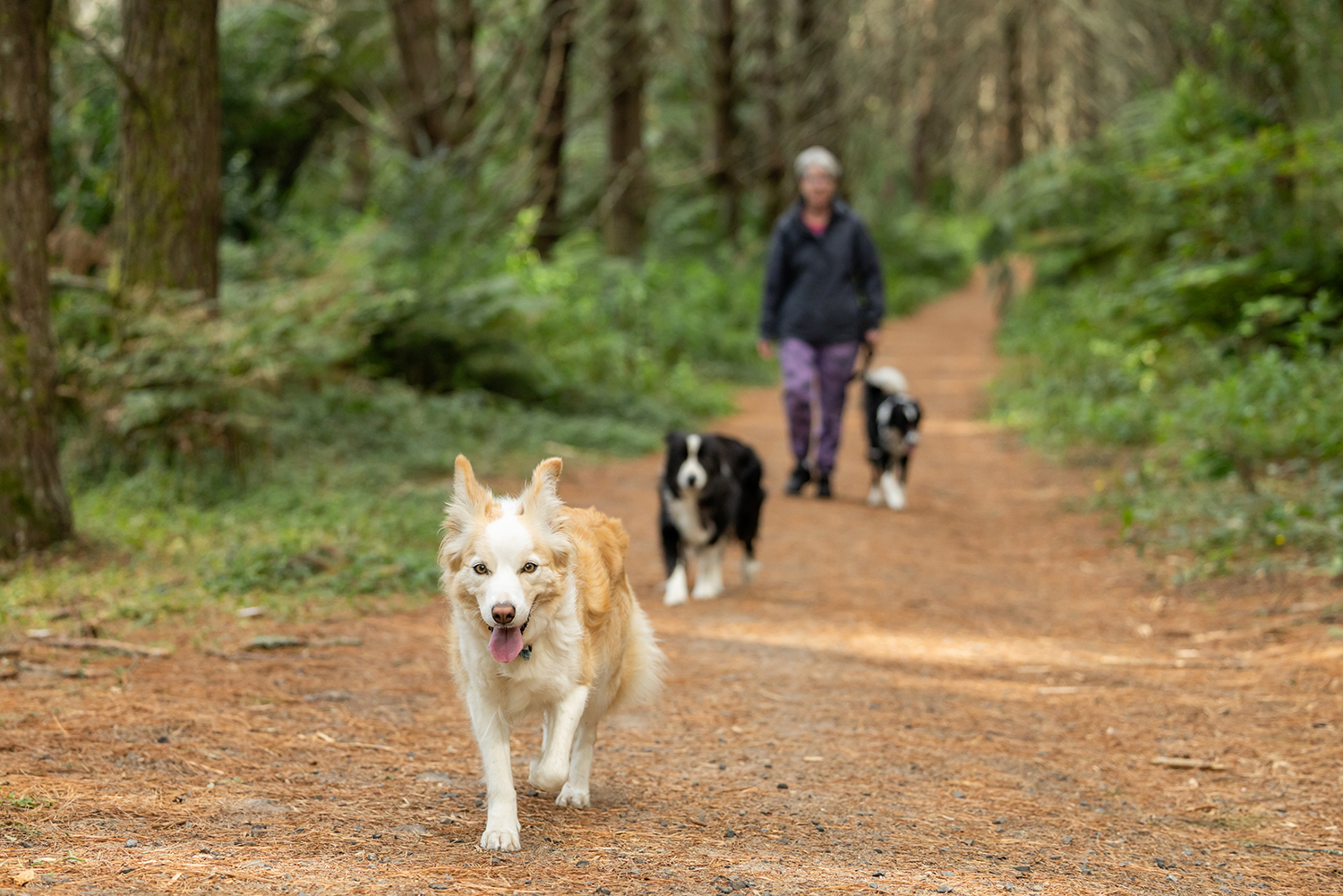 BRONWYN_PILKINGTON_31.03.2025-2571